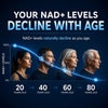 NAD +
